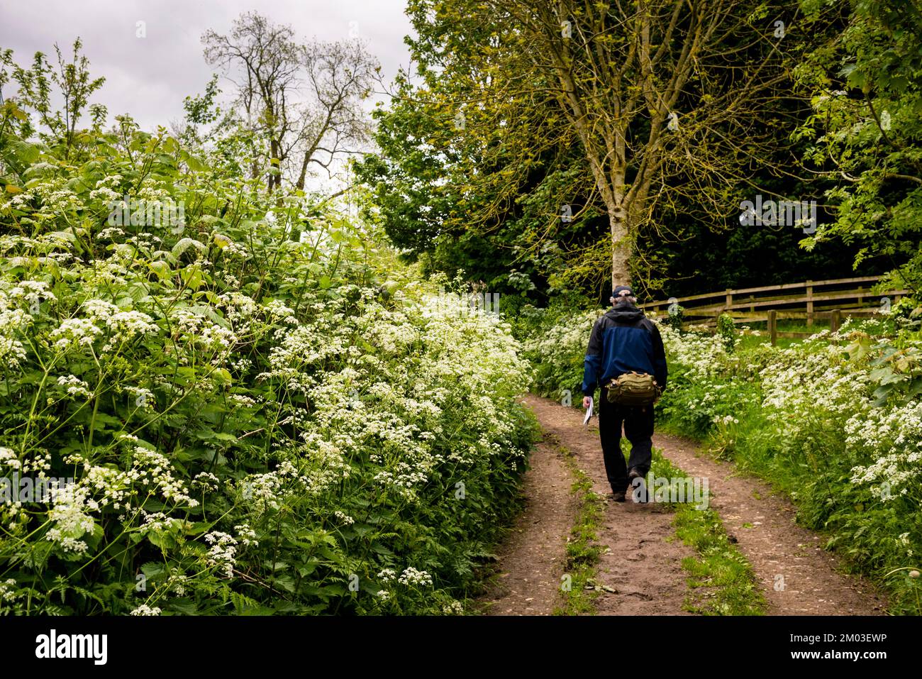 Public walking trials hi-res stock photography and images - Alamy