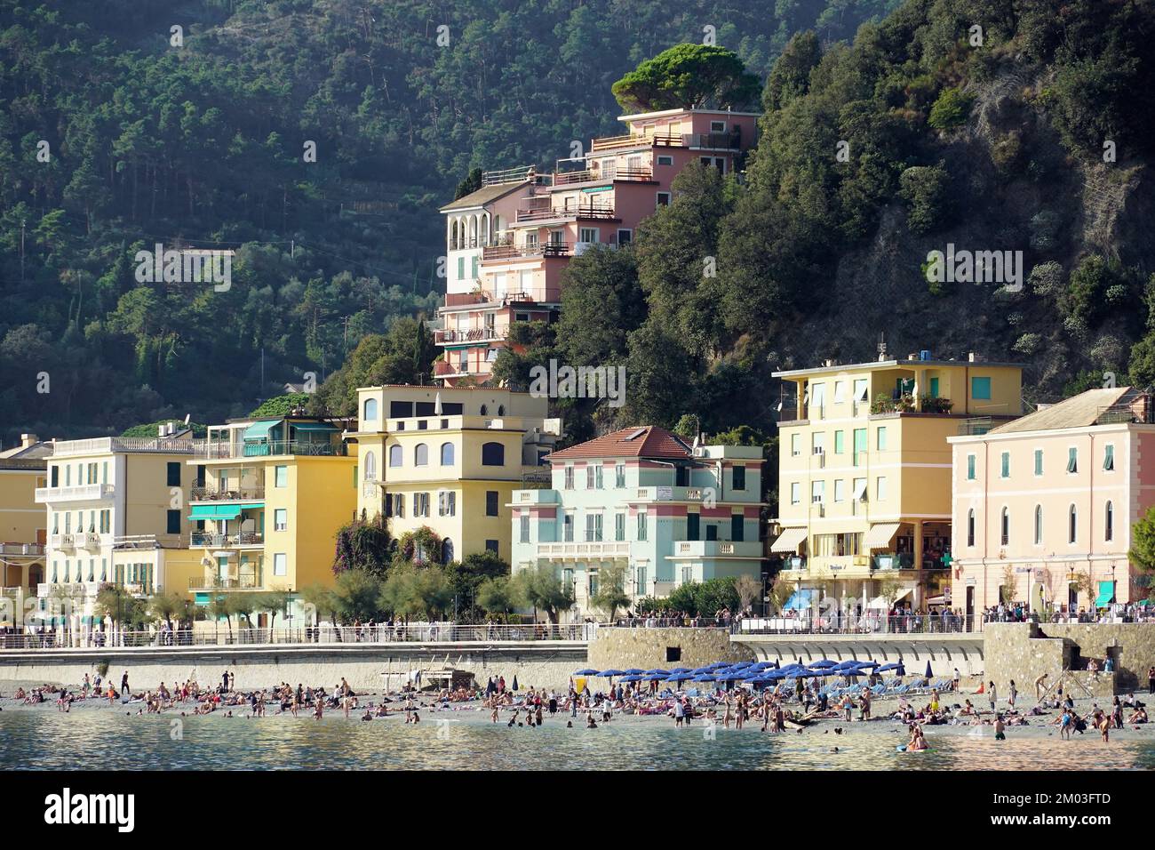 Monterosso al Mare, Cinque Terre, Liguria, Italy, Europe, UNESCO World