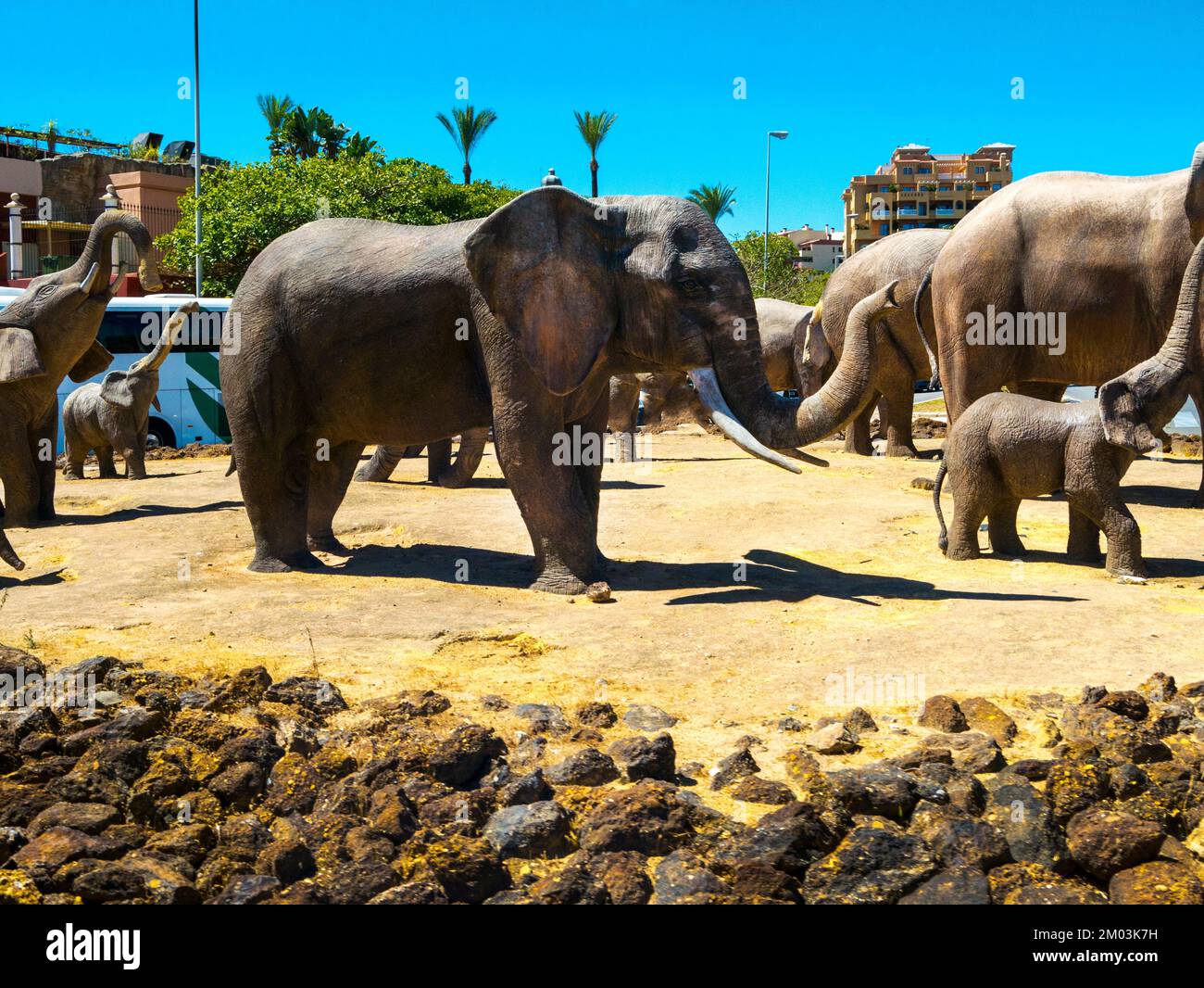 Quirky Sculpture of a herd of Elephants on a traffic Island in the