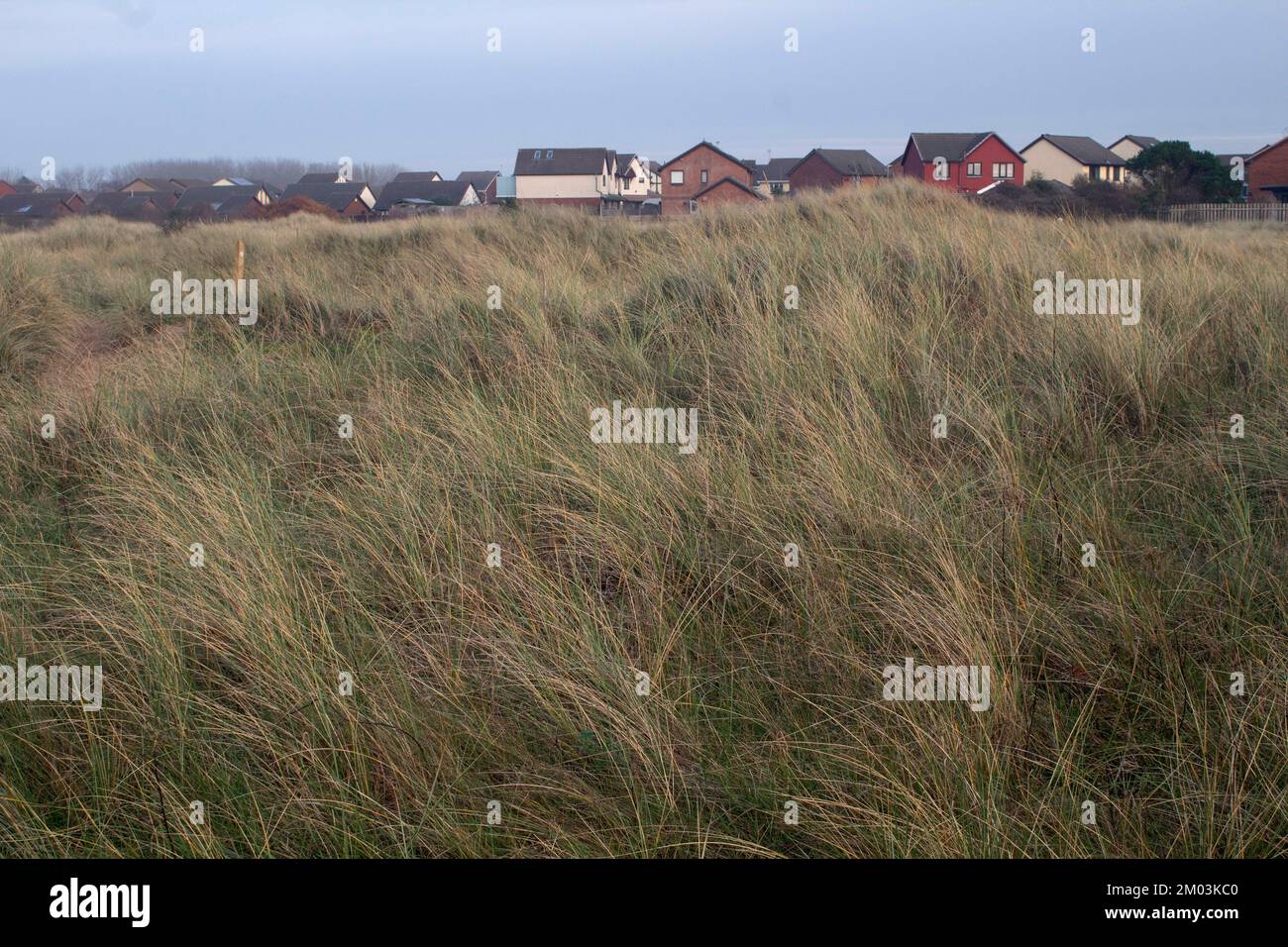 New building housing Hightown from the Ainsdale Sand Dunes Nature