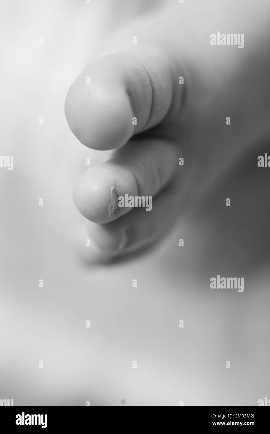 Closeup of a newborn baby with focus on different body parts Stock