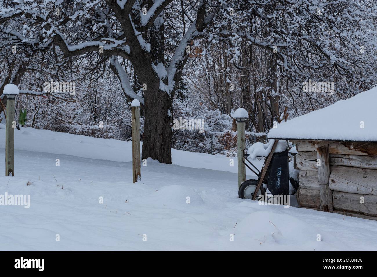 Garden Covered In A Blanket Of Snow Stock Photo Alamy Garden covered in a blanket of snow stock photo alamy