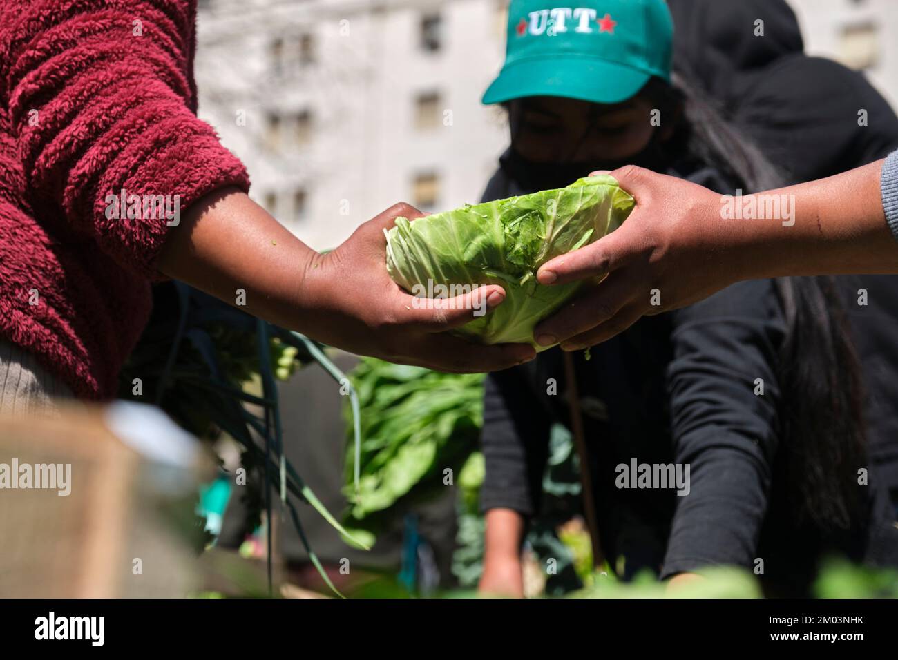 Buenos Aires, Argentina, 21 sept, 2021: UTT, Union de Trabajadores de la Tierra, Land Workers Union, distribute free organic food, fruits and vegetabl Stock Photo