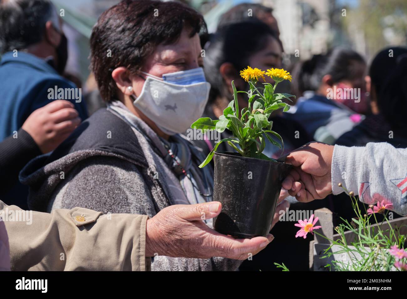 Buenos Aires, Argentina, 21 sept, 2021: UTT, Union de Trabajadores de la Tierra, Land Workers Union, gave free flowers, fruits and vegetables to draw Stock Photo