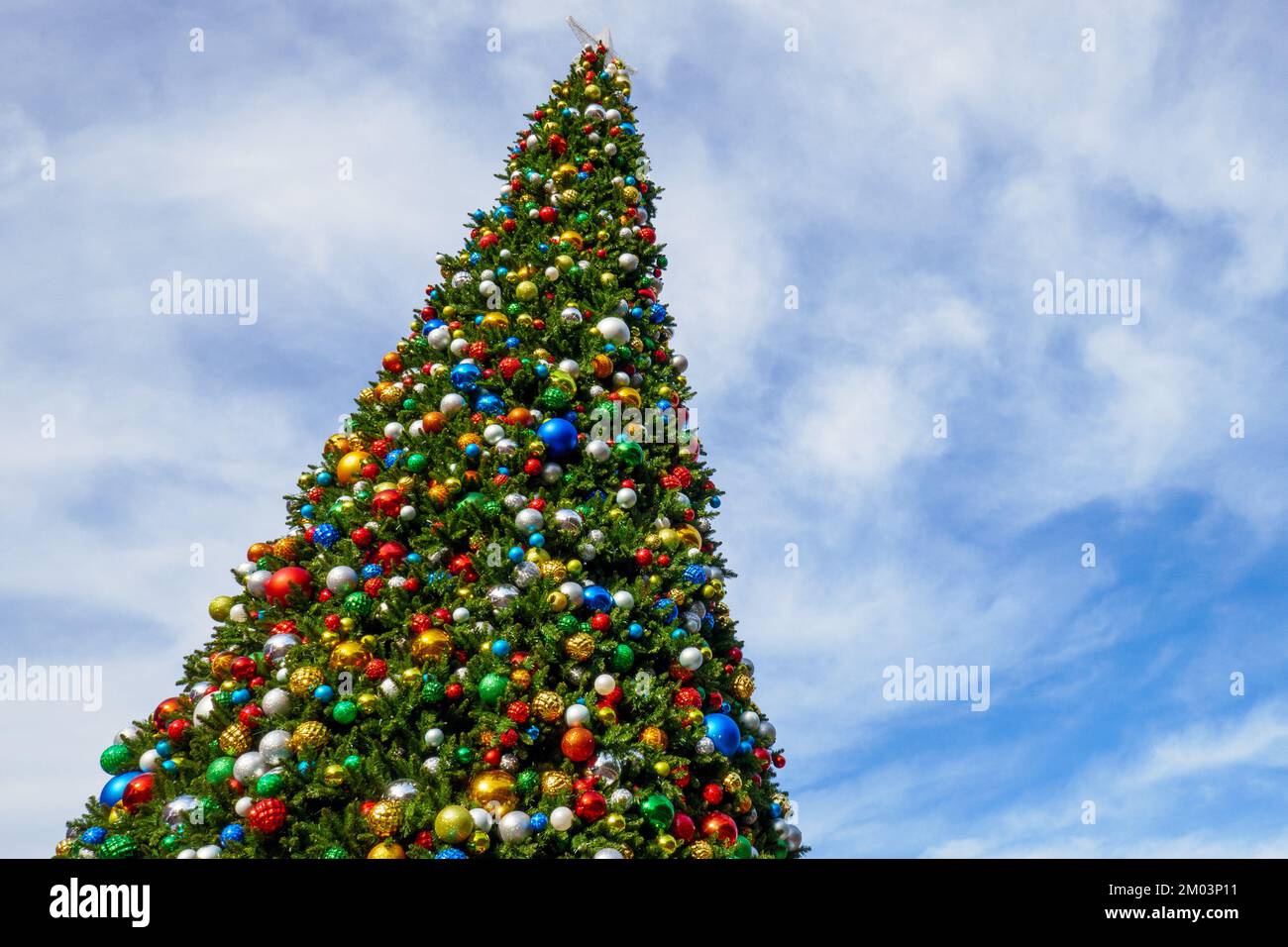 Christmas tree at Christkindlmarket. Chicago, Illinois Stock Photo Alamy
