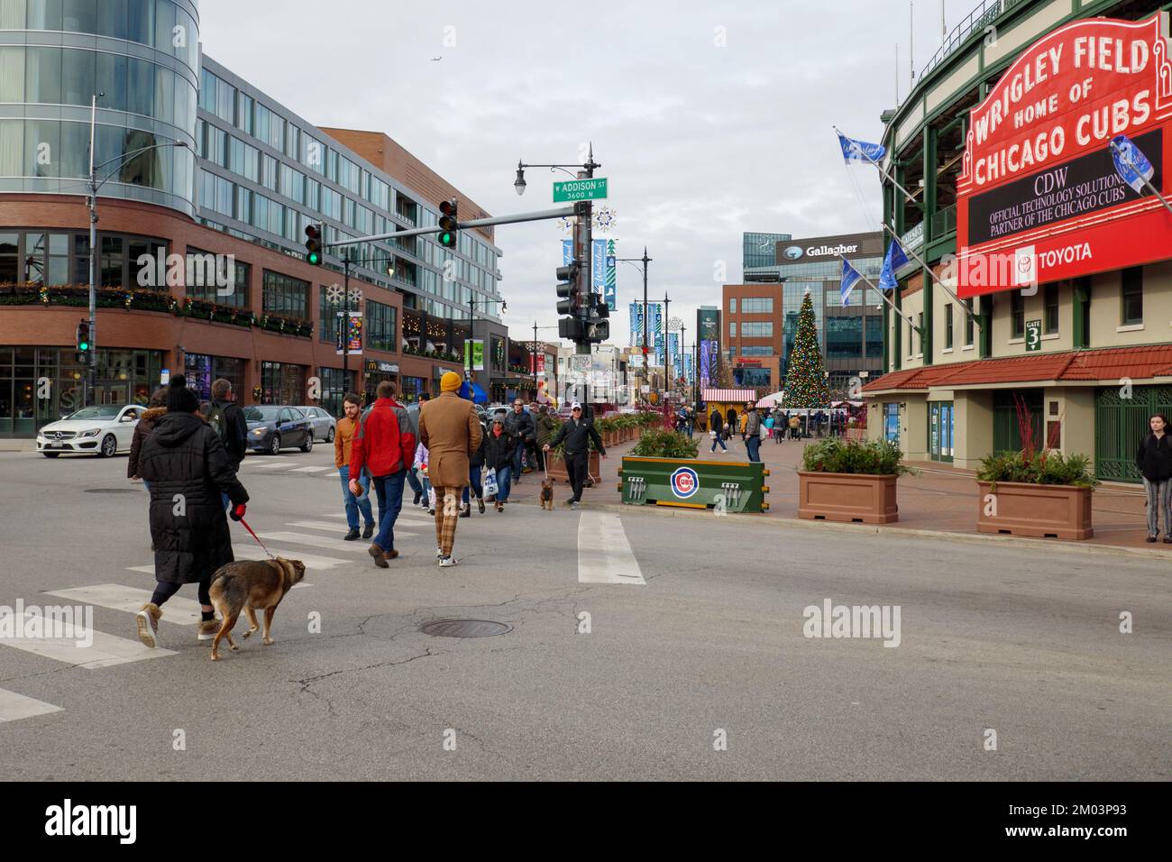 Wrigley Field at Clark and Addison Streets, Chicago, Illinois. Stock Photo