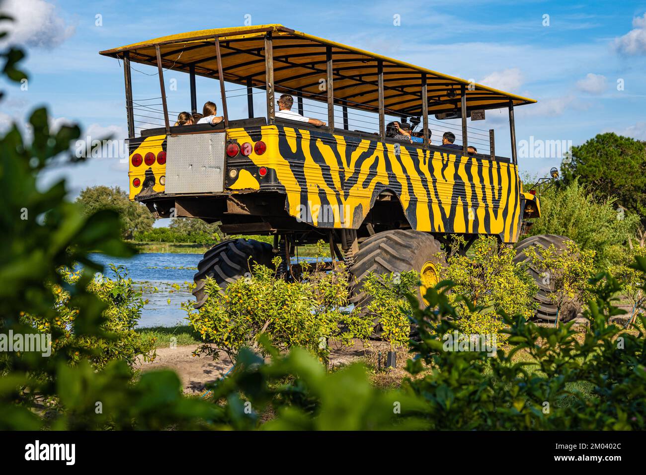 Monster bus hi-res stock photography and images - Alamy