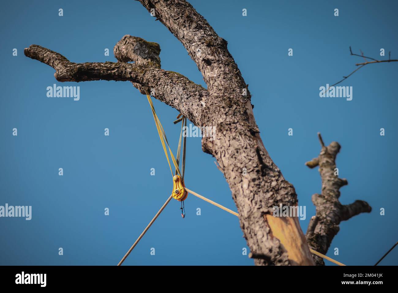 Small aluminium pulley for arborist to harness tree trunks being cut