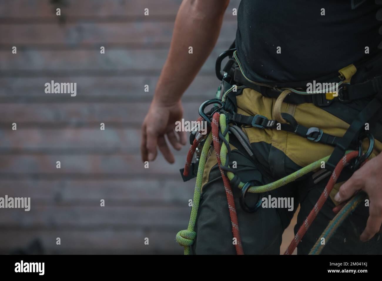 Different safety equipment for arborist or arborists such as ropes