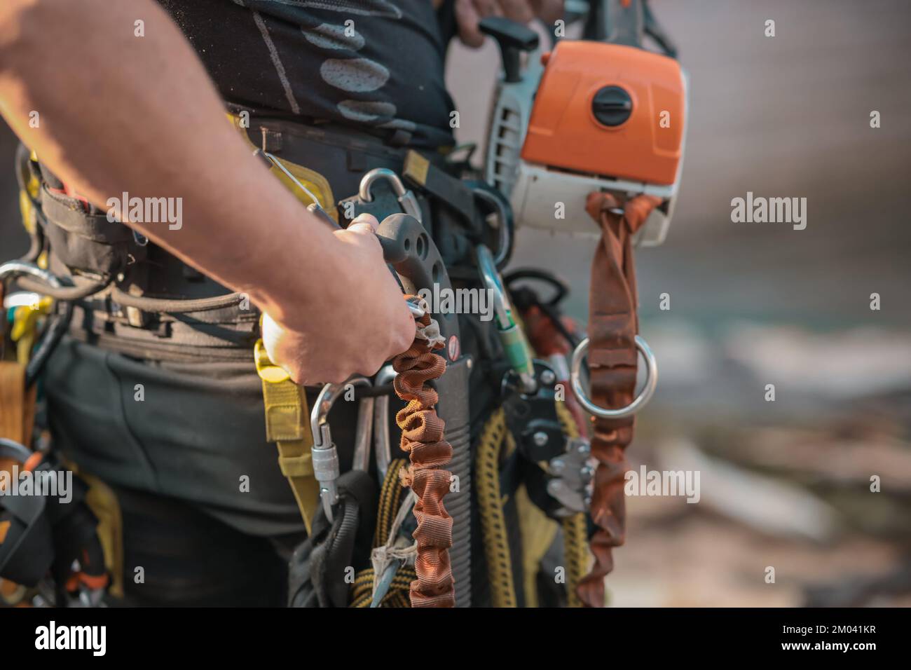 Different safety equipment for arborist or arborists such as ropes