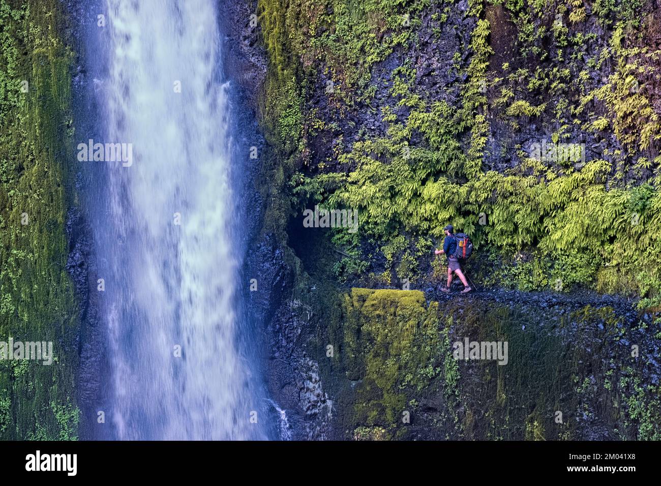 Approaching spectacular Tunnel Falls, Pacific Crest Trail, Oregon, USA