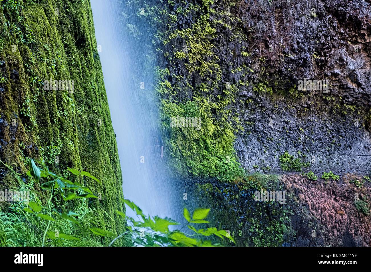 Approaching spectacular Tunnel Falls, Pacific Crest Trail, Oregon, USA