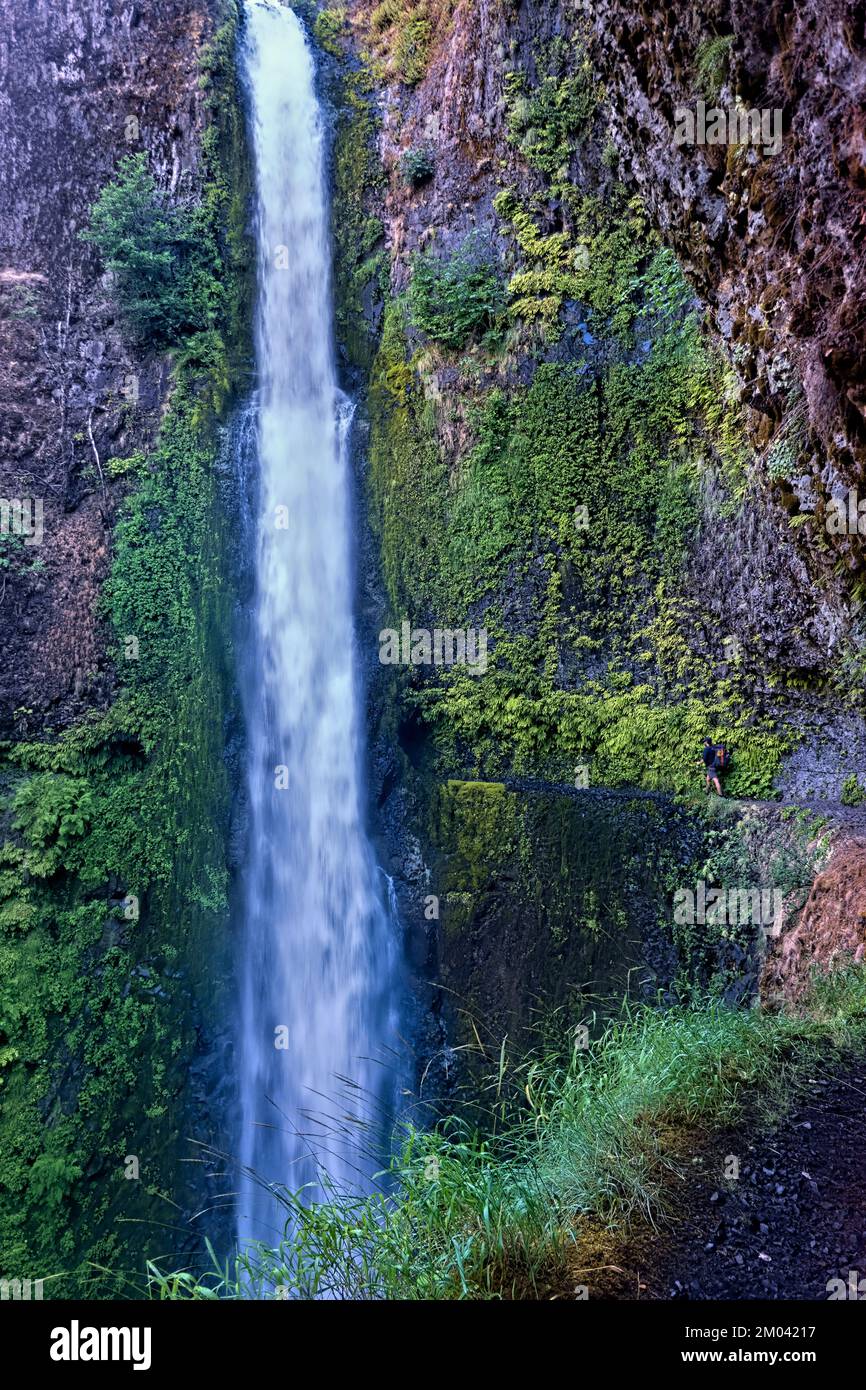Spectacular Tunnel Falls, Pacific Crest Trail, Oregon, USA Stock Photo