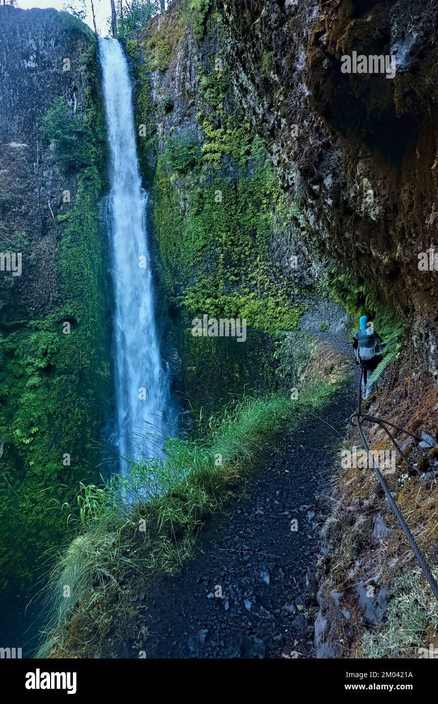 Approaching spectacular Tunnel Falls, Pacific Crest Trail, Oregon, USA
