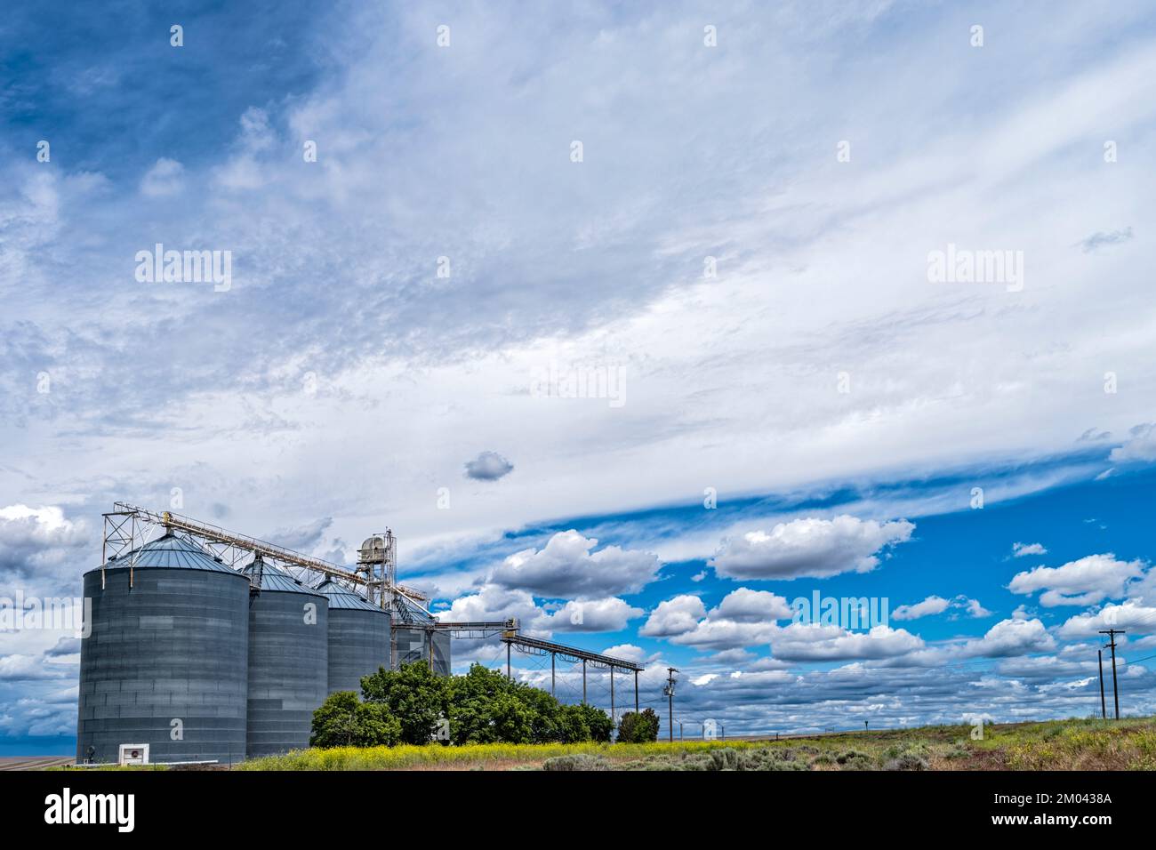 A grain elevator south of Lind in Washington, USA Stock Photo Alamy