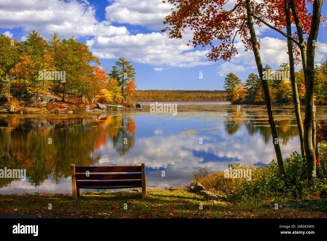 Approximately 350 acres in size, Pecks Pond in the Delaware State Foresat in Pennsaylvania's Pocono Mountains is a popular recreation lake for fishing Stock Photo