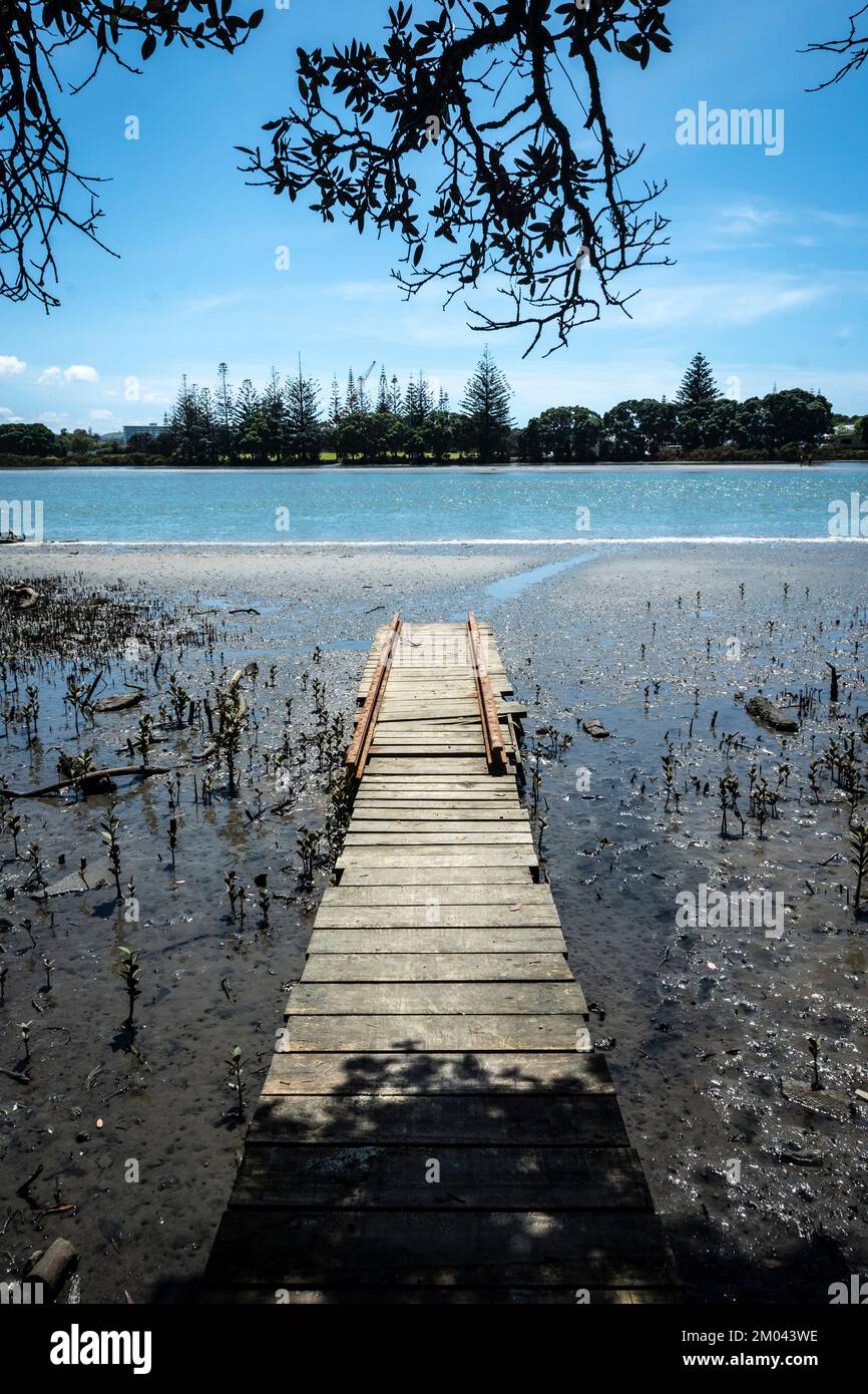Jetty, Orewa Estuary, Auckland, North Island, New Zealand Stock Photo
