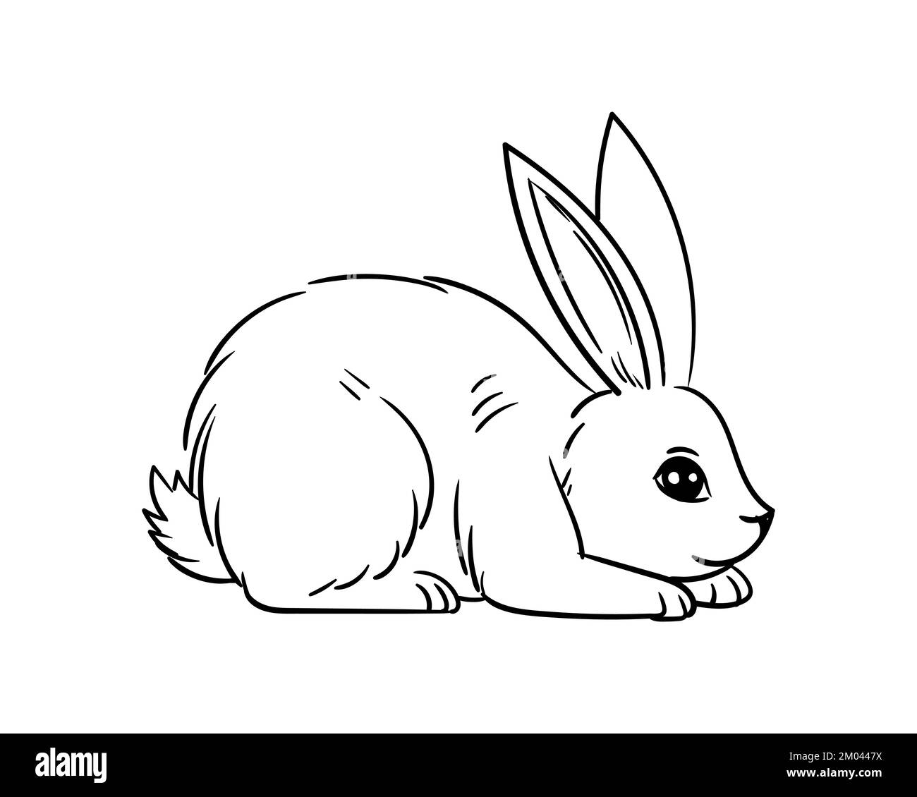 Various cute bunnies, spring, easter bunny in sketch style. Rabbit sits