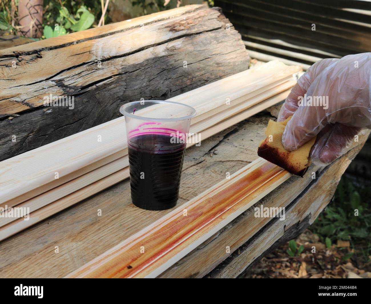 Staining Hand Eprocess a hand in a transparent protective glove with a small sponge applies a ...