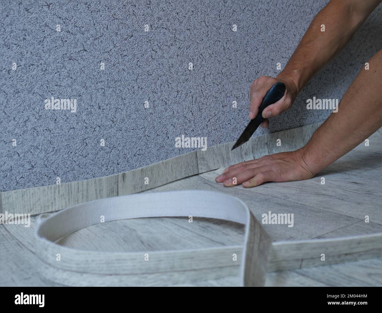 a person cuts a piece of light-colored linoleum with a wooden texture pattern on the floor in a room against a wall with gray wallpaper with a knife Stock Photo