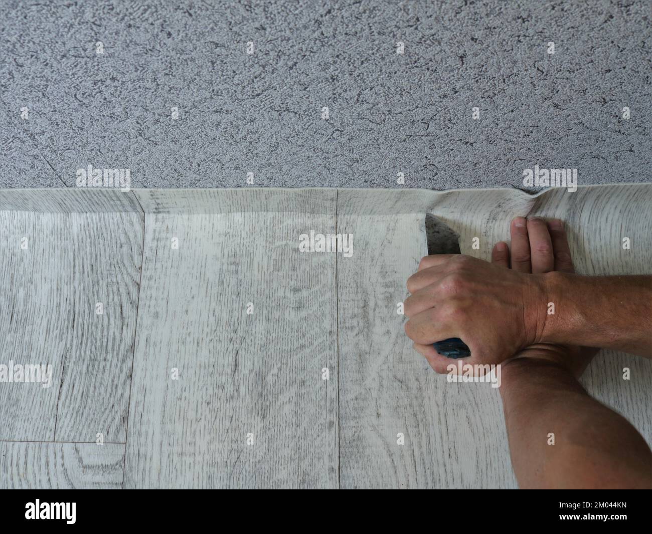 trimming linoleum with a light wood texture along the junction line with a wall with gray abstract wallpaper with a sharp short knife in male hands Stock Photo