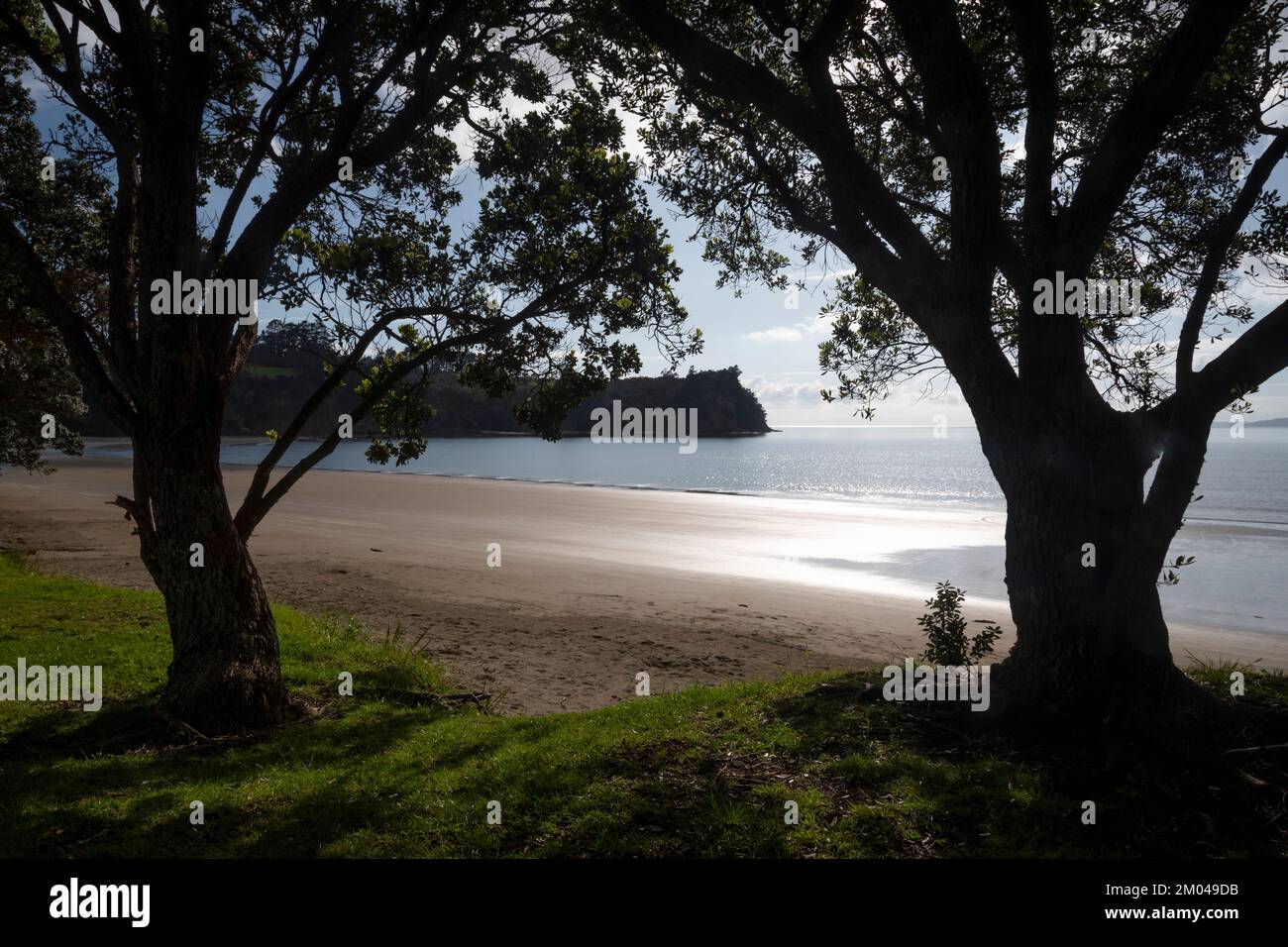 Hatfield's Beach, Orewa, Auckland, North Island, New Zealand Stock Photo