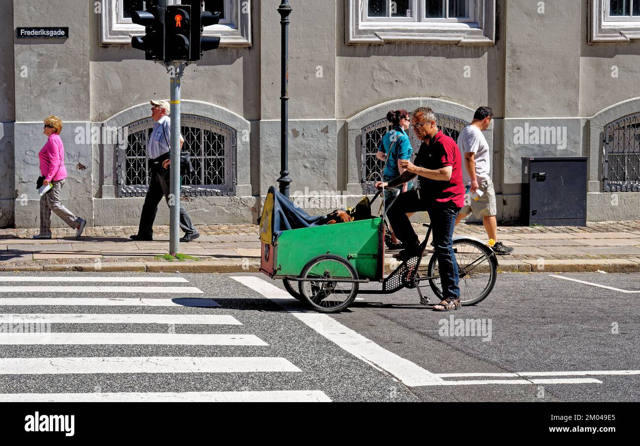 Danish man with dogs riding a cargo bike on a bike road in Copenhagen, Denmark - 3rd of March 2012 Stock Photo