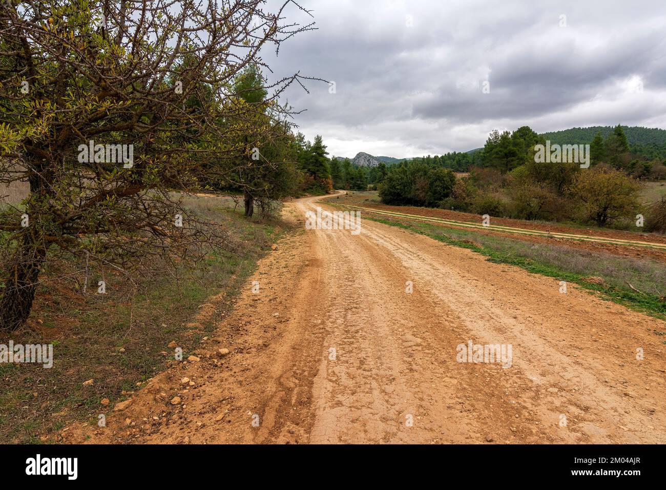 Rural road in autumn mountain and colorful trees on slopes. Avlonas ...