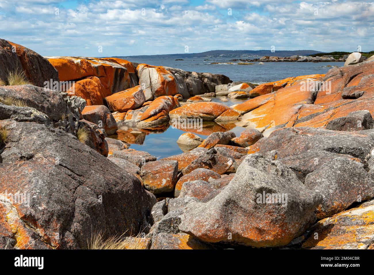 The Gardens, Bay of Fires, Tasmania, Australia Stock Photo Alamy