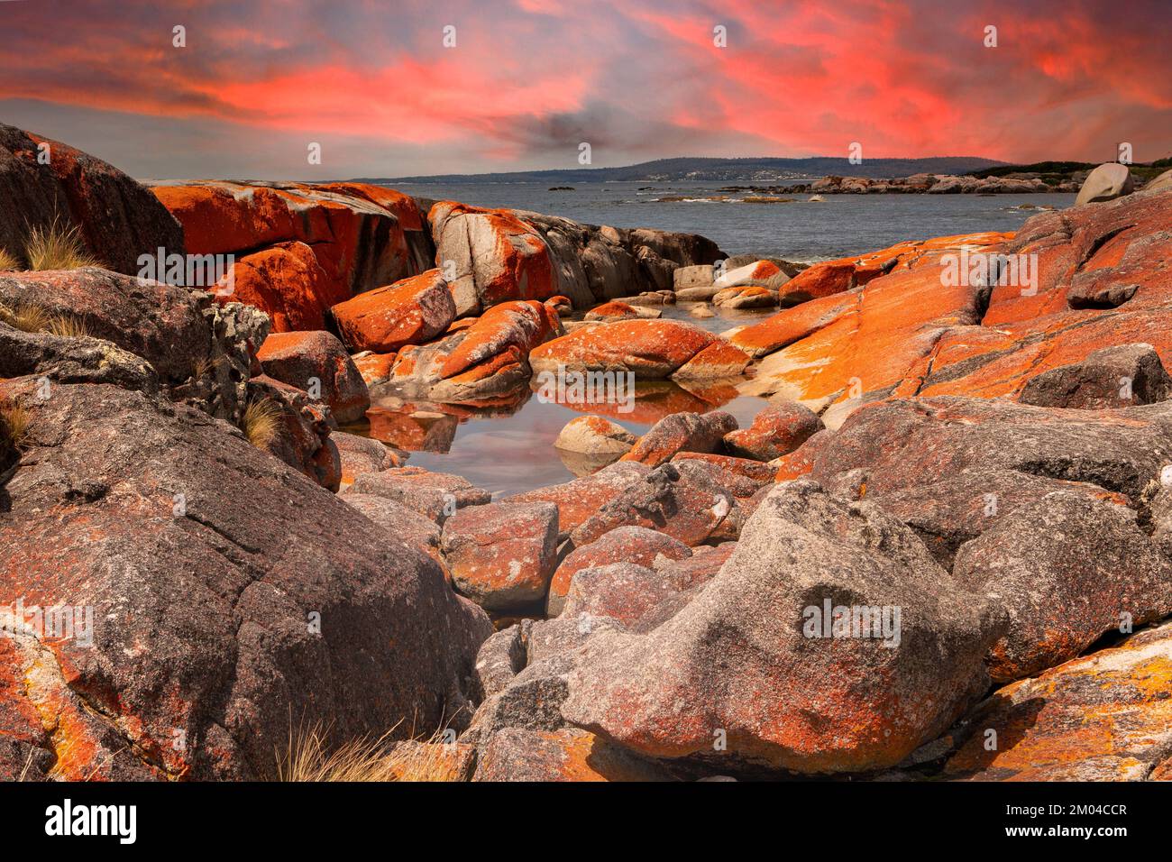 The gardens bay of fires tasmania australia stock photo alamy