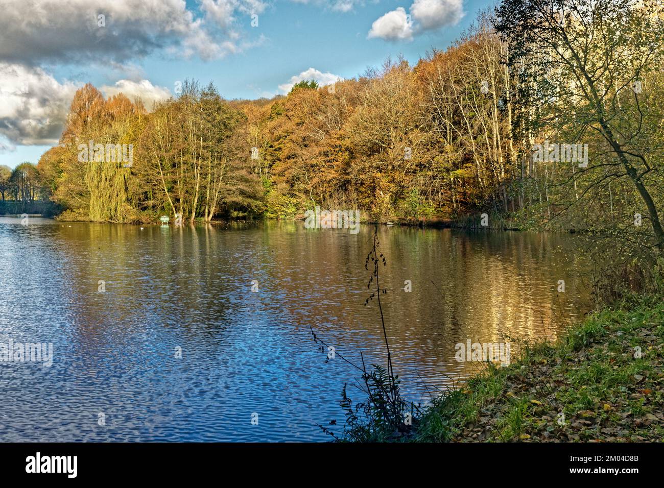 Moss Valley fishing lake, Brynteg, Wrexham, North Wales, United Kingdom Stock Photo