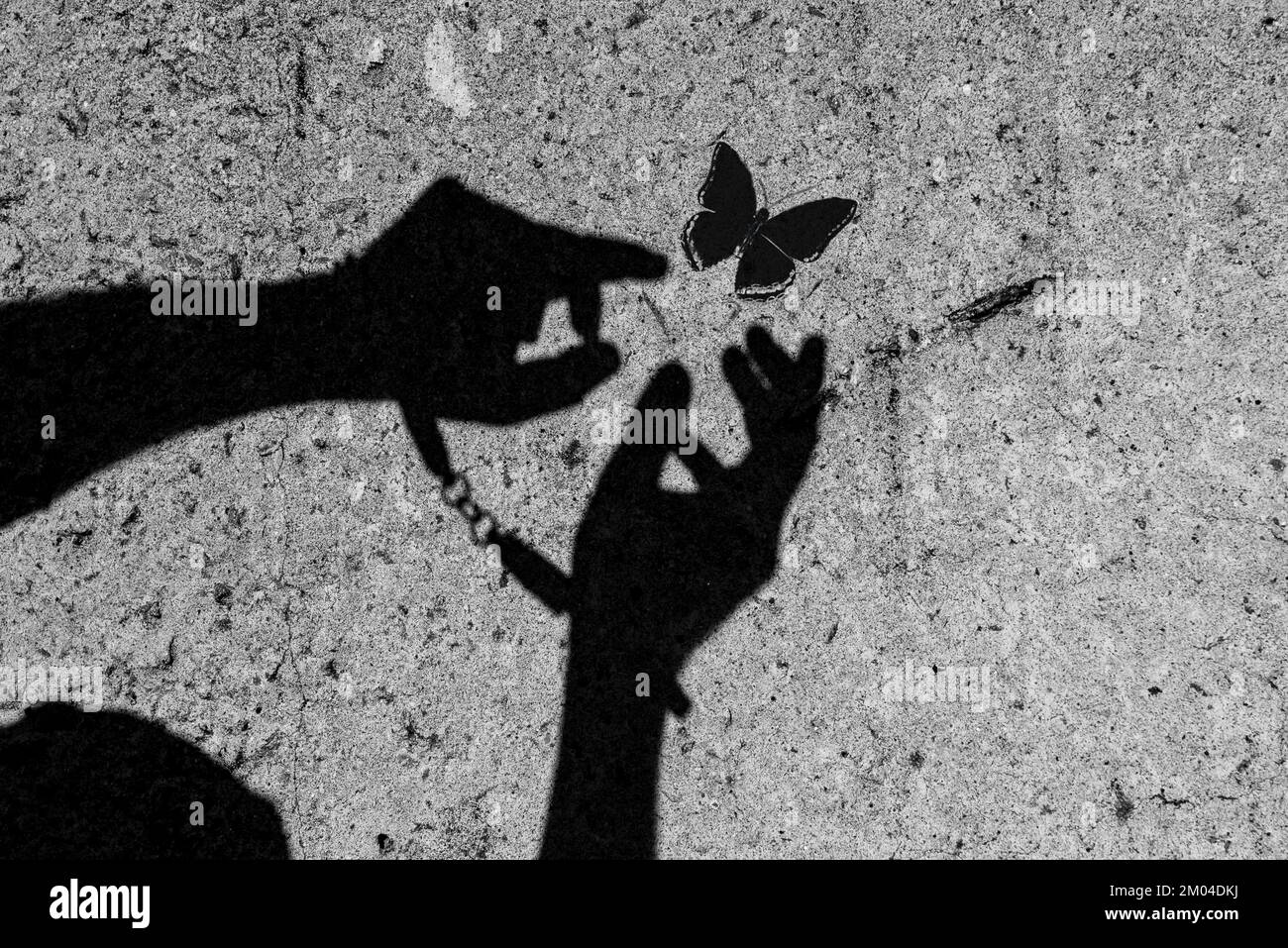 The shadow of a criminal in handcuffs against the background of a concrete prison wall. Handcuffed hands cling to freedom and try to catch a butterfly Stock Photo