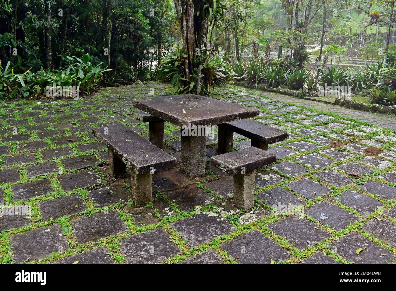 Empty benches table trees bench hi-res stock photography and images - Alamy