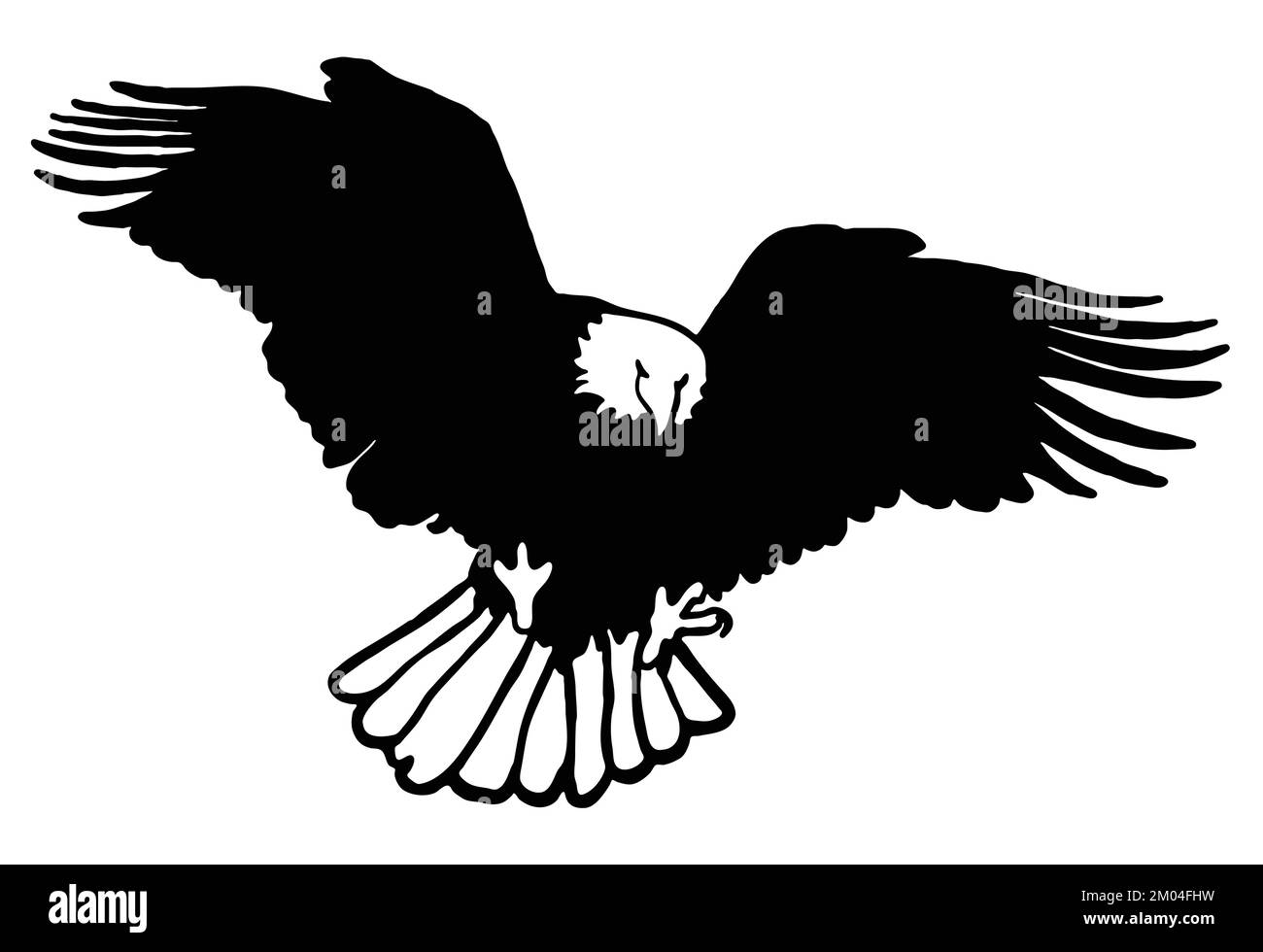 eagle flying with open wings bottom view silhouette, bald eagle bottom