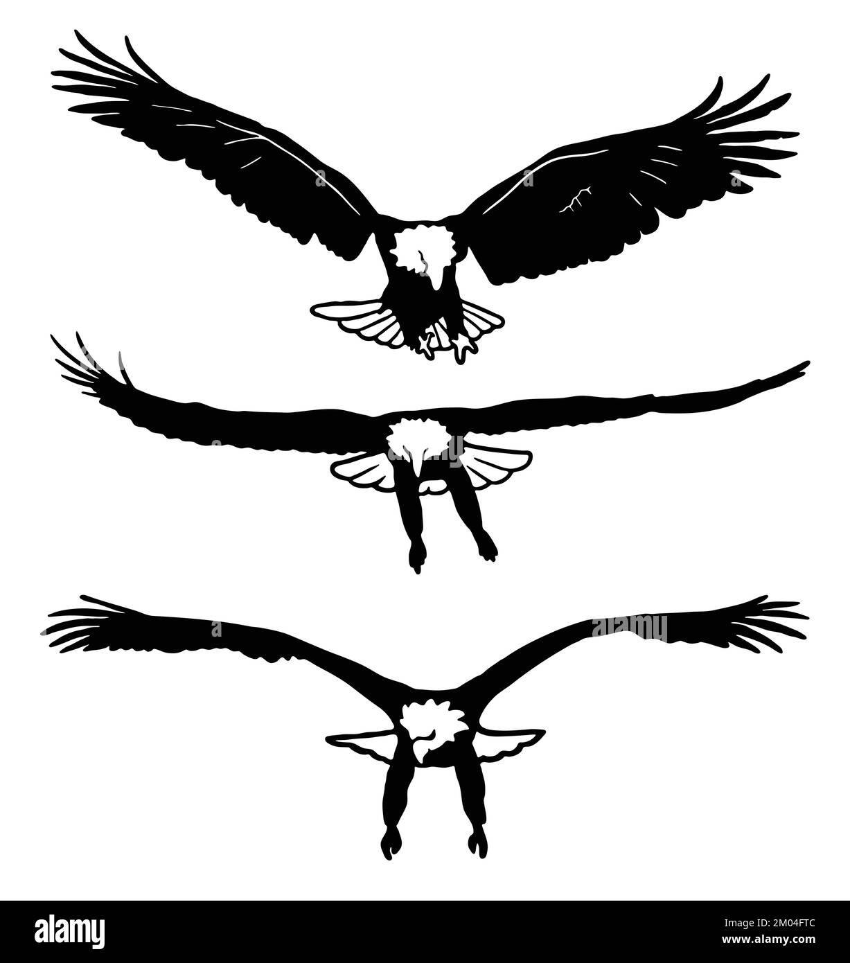 Evil eagle Stock Vector Images - Alamy
