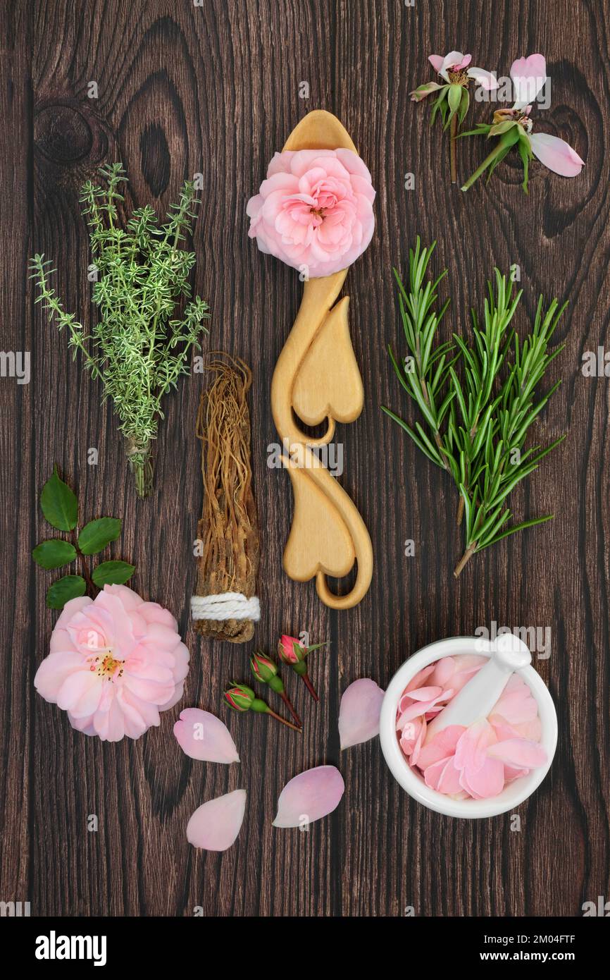Ingredients for magic spell love potion natural recipe concoction with rose flowers, rosemary, thyme and ginseng herbs. Stock Photo