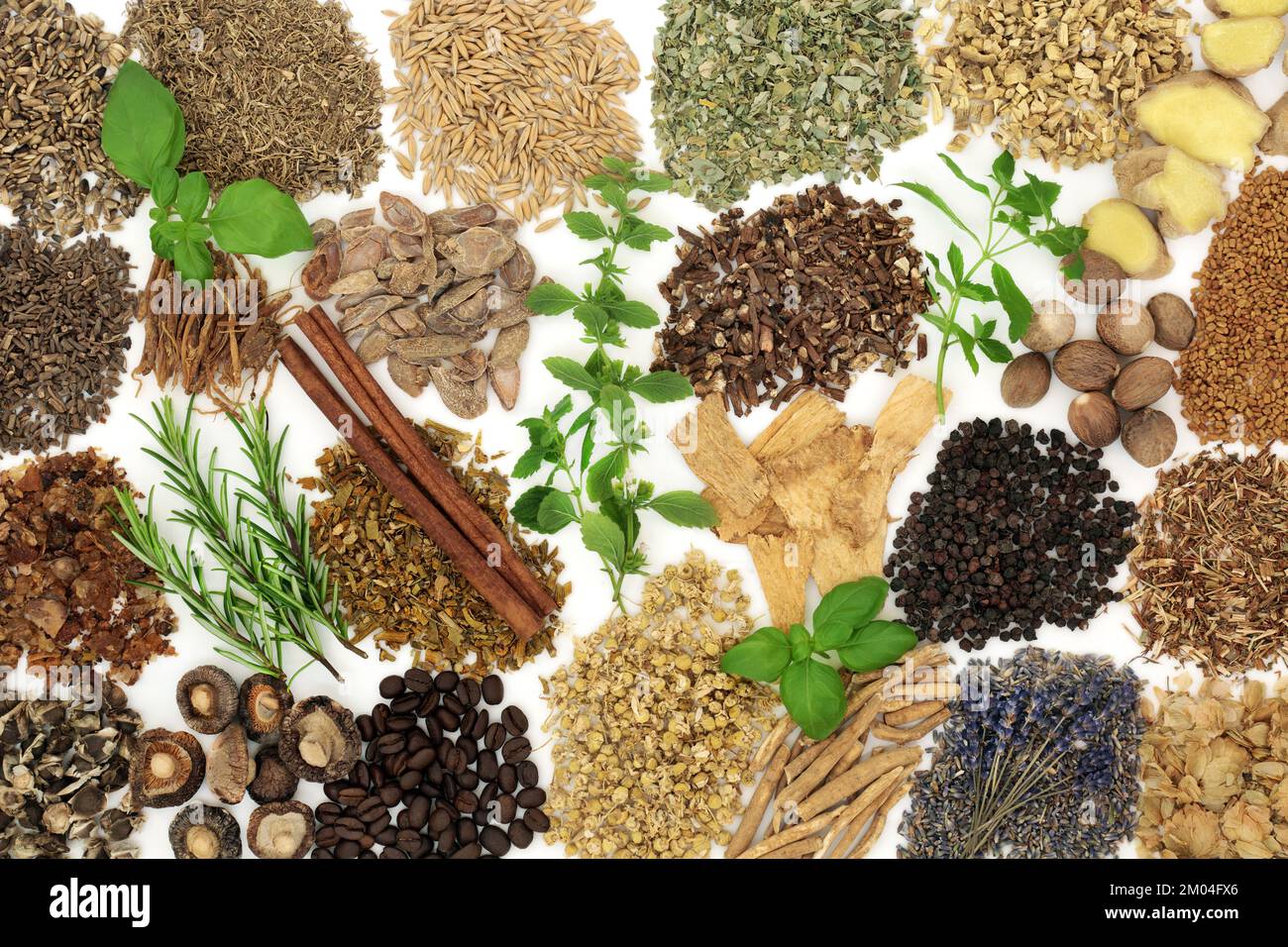 Nervine food herbal medicine. Large collection of herbs and foods to