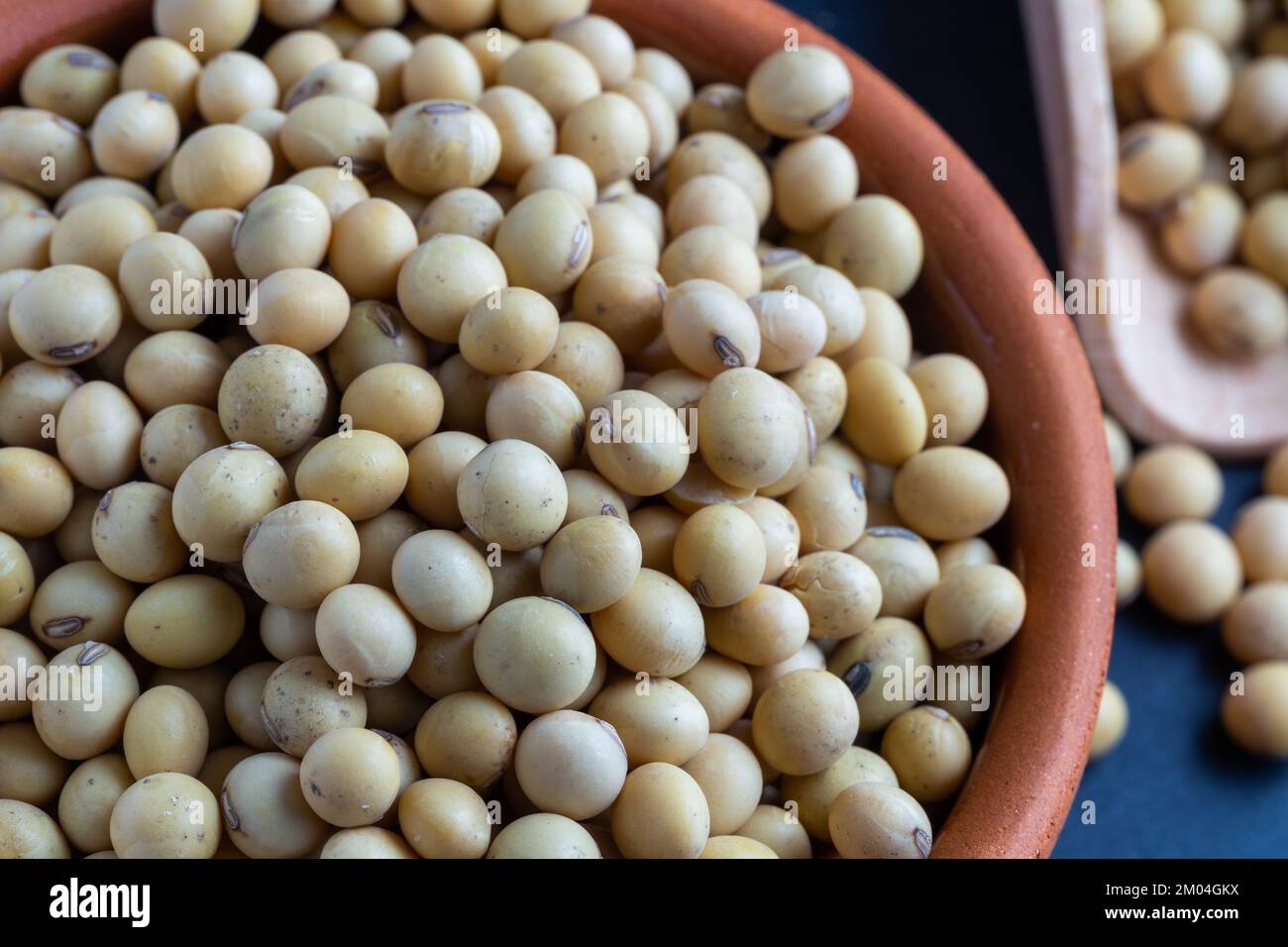 Soybean seeds hires stock photography and images Alamy