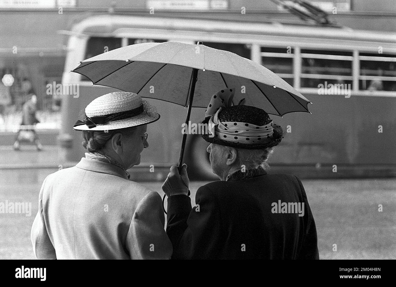 Umbrellas in the 1950s. The rain is pouring and two elderly ladies is