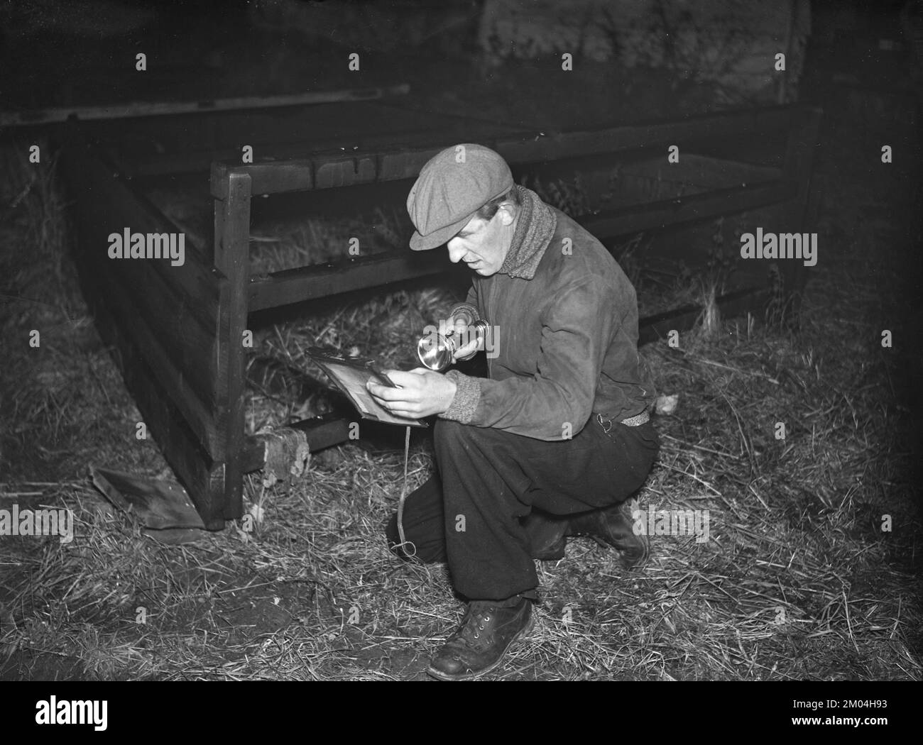 In the 1930s. A man pictured during a orienteering competition at night, studying the map in the light of his flashlight to find the control points and the fastest way through the course. Sweden 12 november 1939. Kristoffersson ref 11-4 Stock Photo
