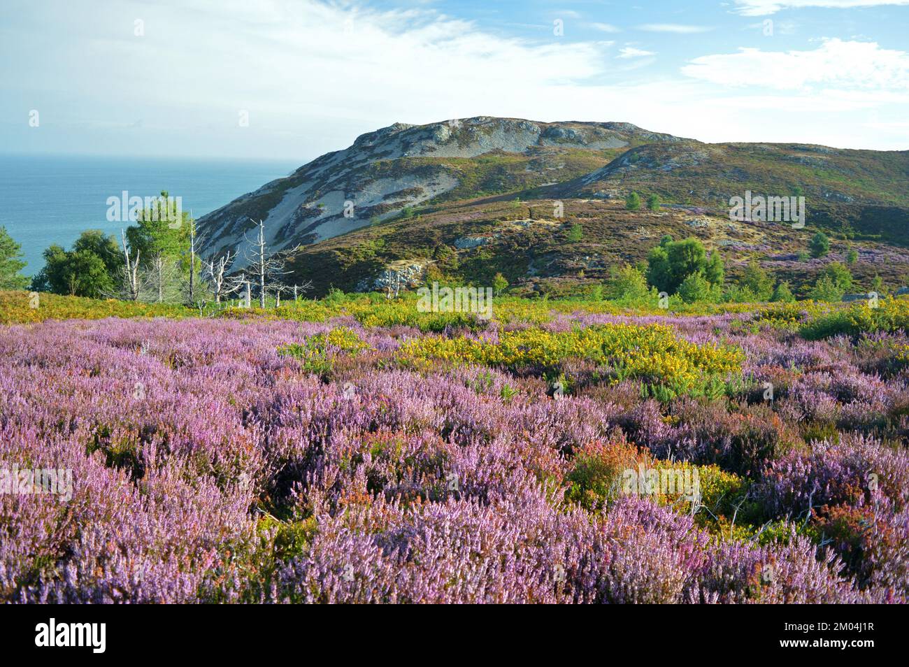 Views of penmaen bach on Conwy mountain trail Stock Photo Alamy