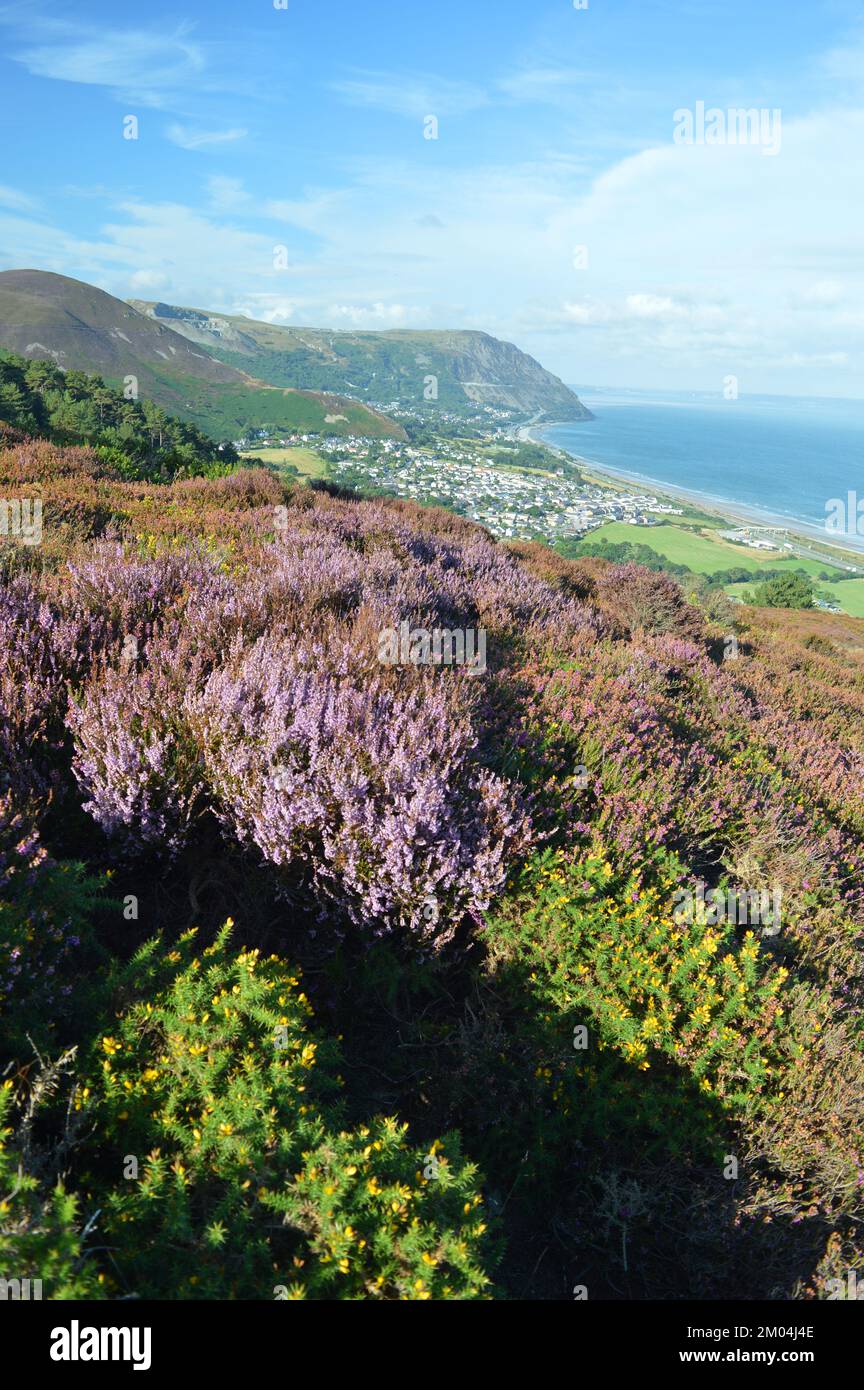 Views of penmaenmawr from Conwy mountain Stock Photo