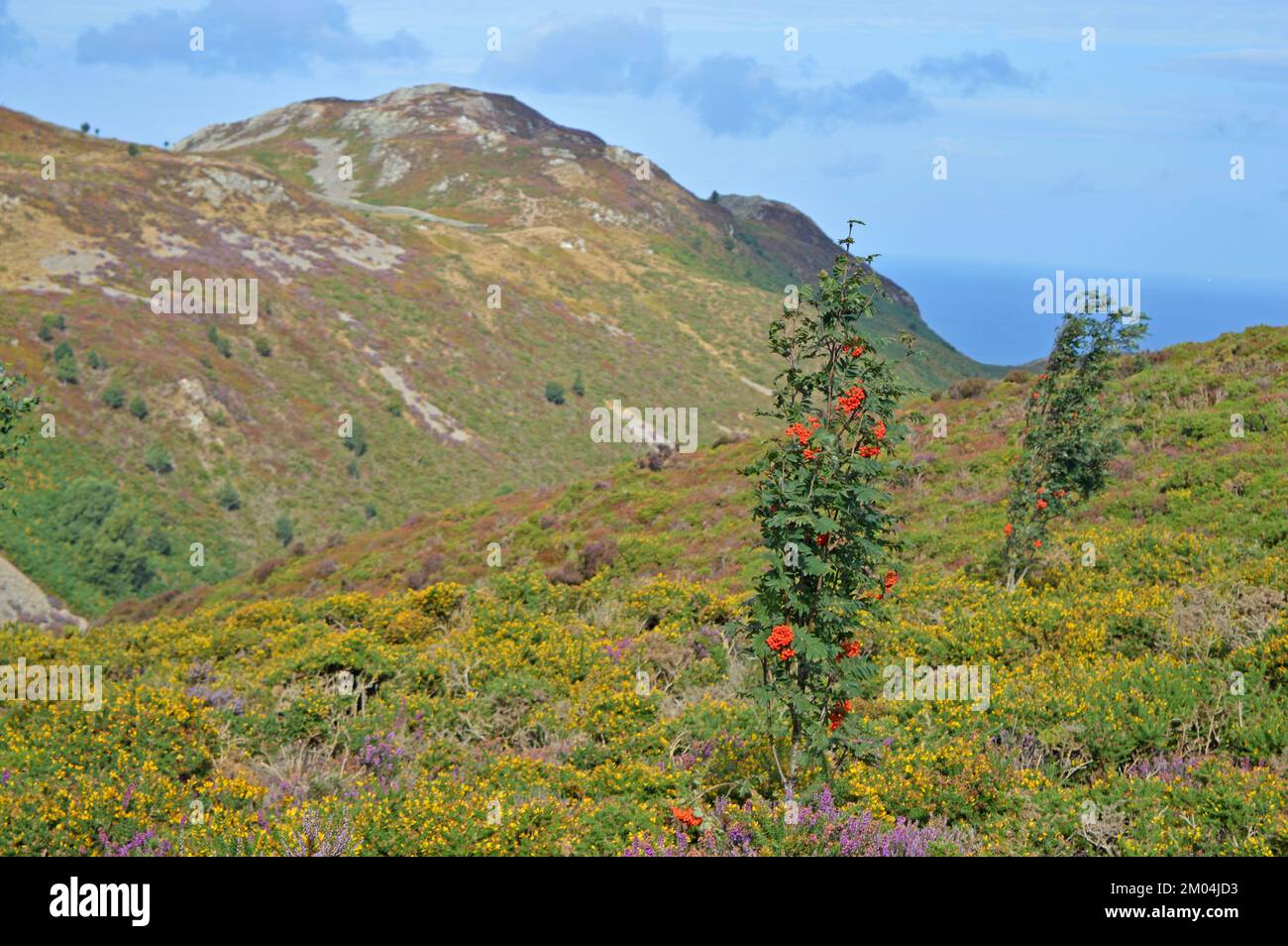 Views of penmaen bach on Conwy mountain trail Stock Photo Alamy
