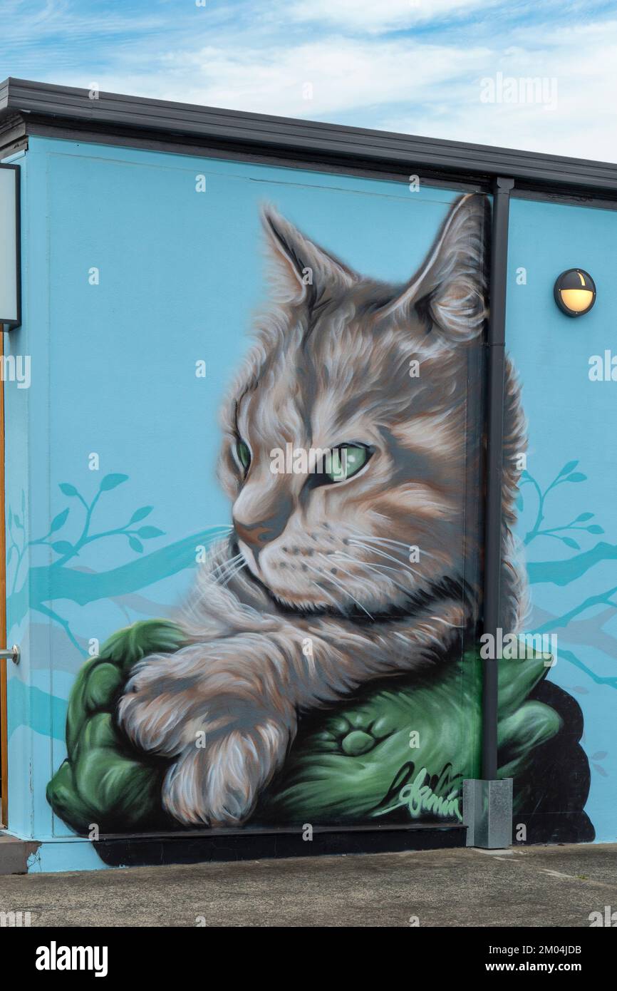 The Cat Clinic Street Art, New Town, Tasmania, Australia Stock Photo