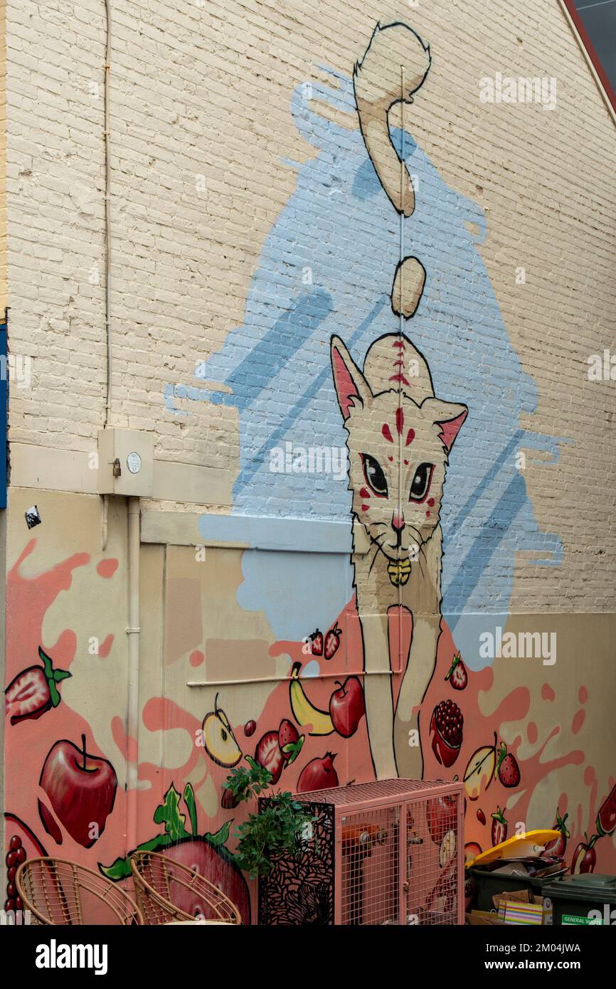 Cat Street Art in Elizabeth Street, Hobart, Tasmania, Australia Stock Photo