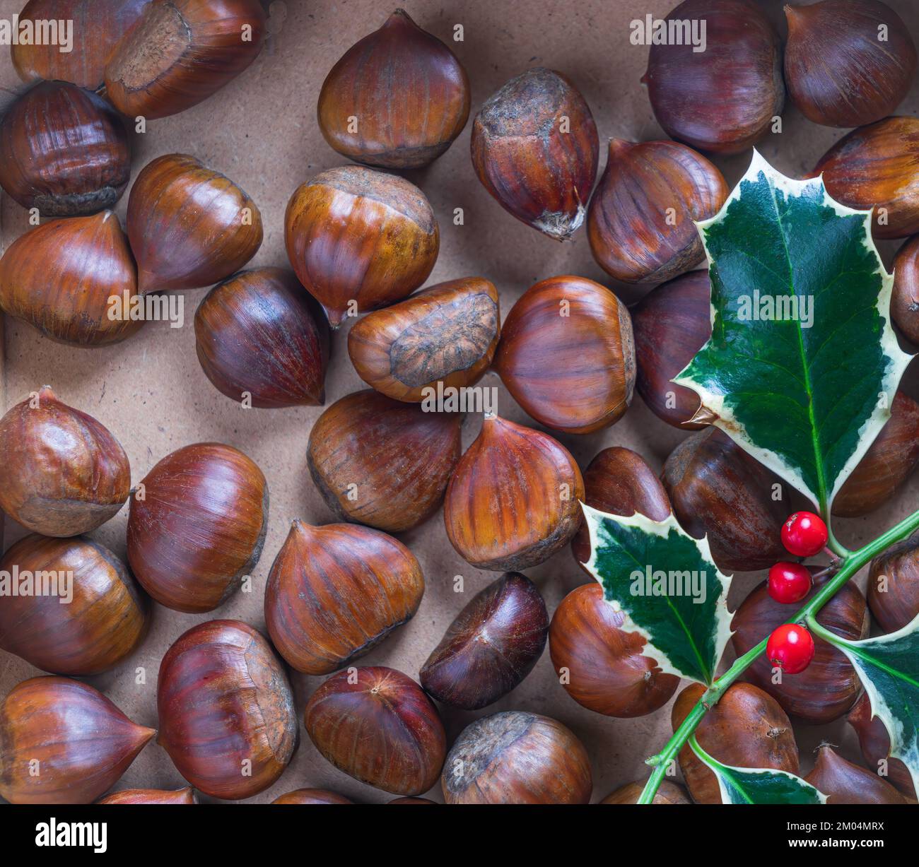 Chestnuts with Christmas holly Stock Photo
