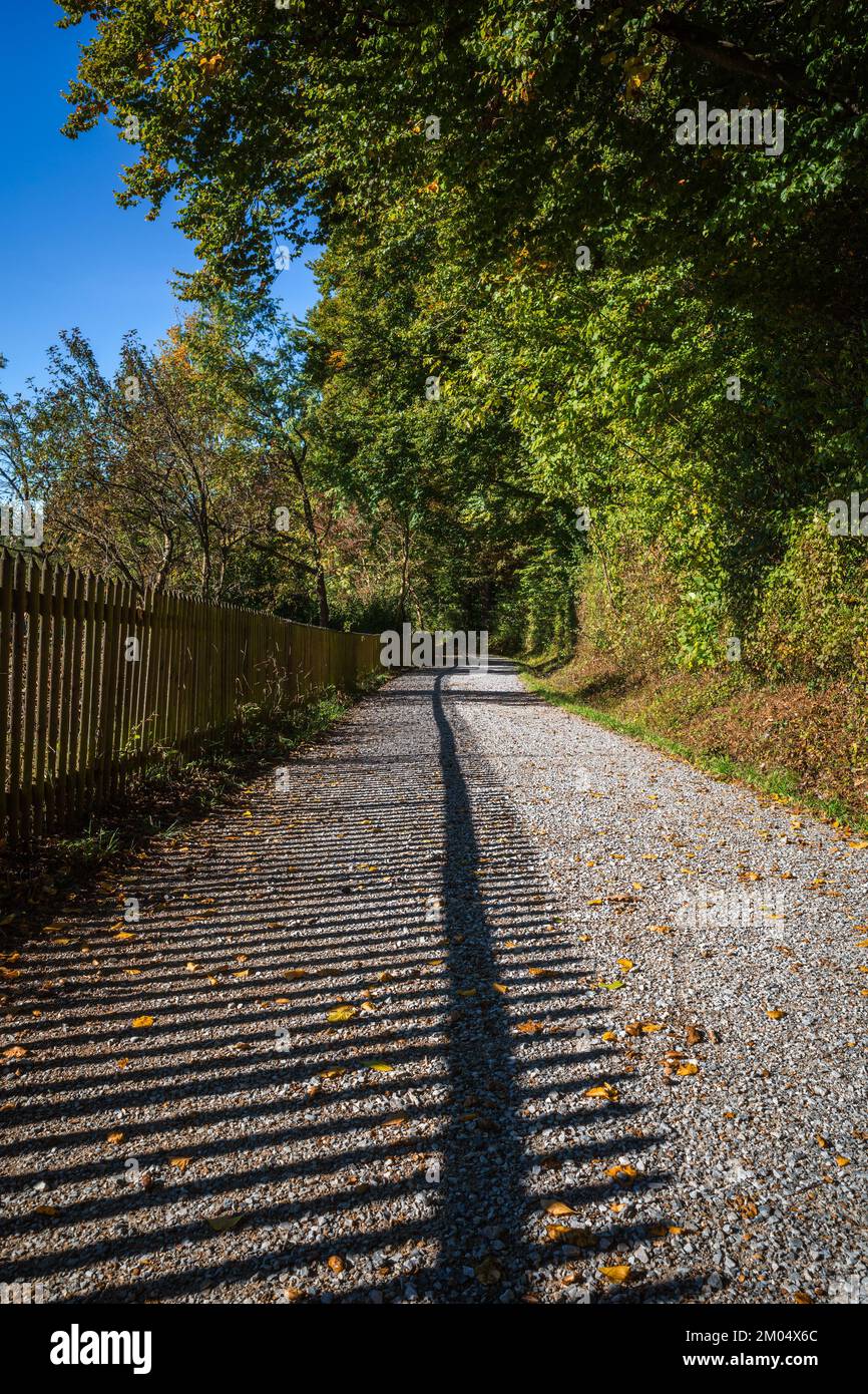 Walking path along the edge of the forest in autumn and the shadow of the fence on the way Stock Photo