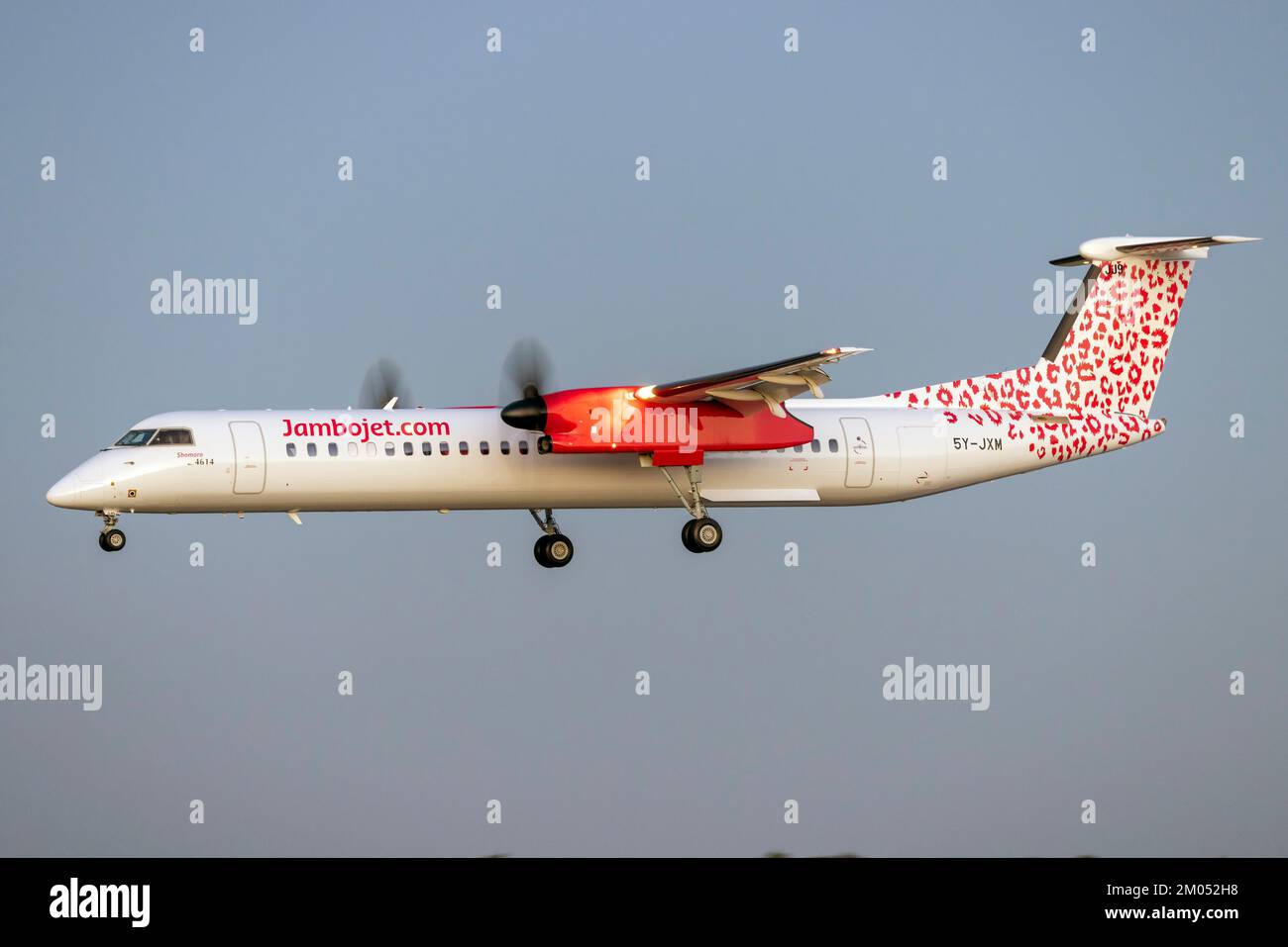 Jambojet De Havilland Canada DHC-8-402Q Dash 8 (REG: 5Y-JXM) on finals well after sunset on delivery flight. Stock Photo