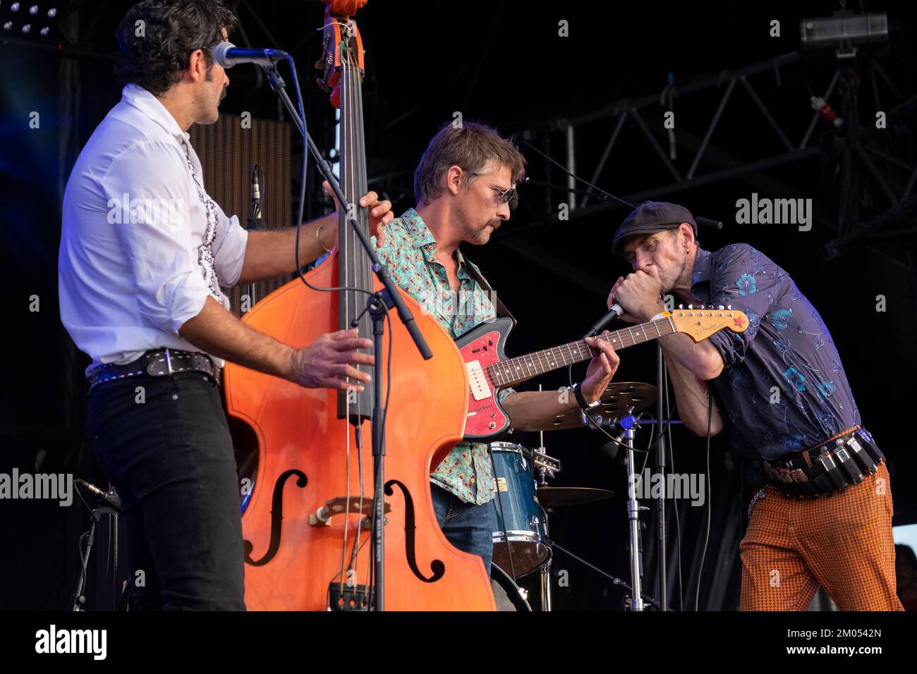 Double bass payer and singer, guitarist and harmonica player of the rockabilly band Johnny Montreuil on stage Stock Photo