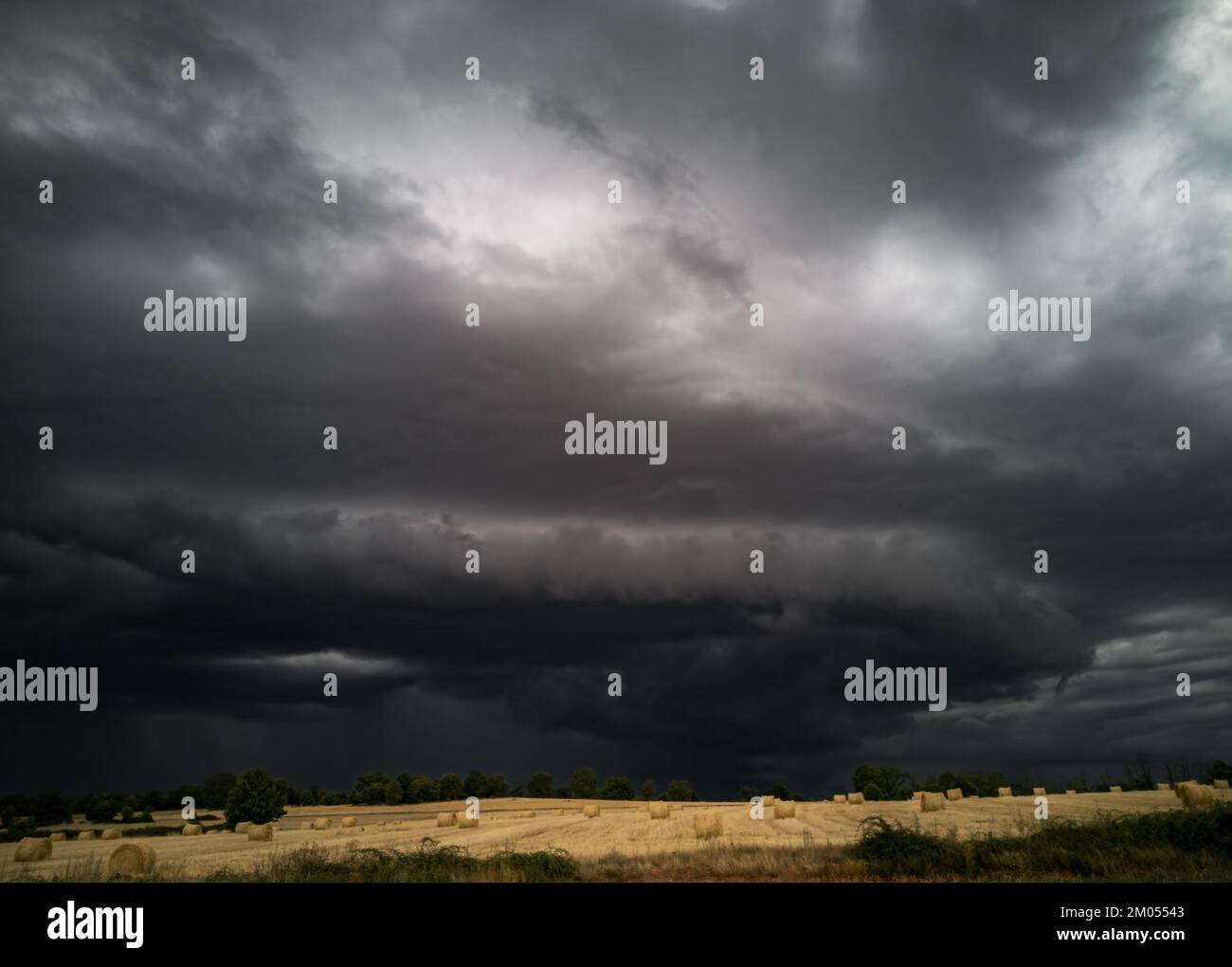 Dark stormy clouds over the wheat crop Stock Photo - Alamy